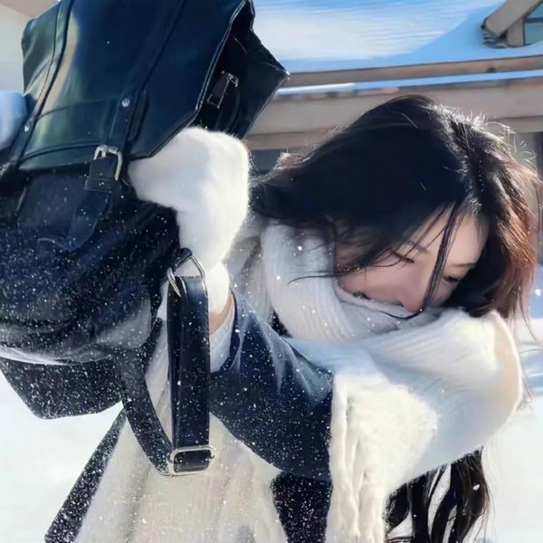 甄嬛传